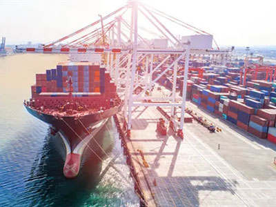 ���񣨽��ˣ����������������ѡ�������˾����